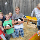 FPO__-Hoffest Ho__chst 31-08-2014 167.jpg