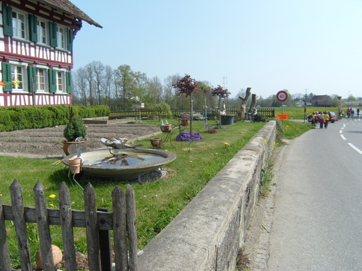030.JPG