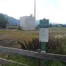 neue Ruderalfläche beim Biomasseheizwerk in Ludesch oder eher ein ölverseuchtes Feld?