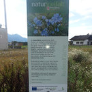 2014-08-24 16_04_13.jpg