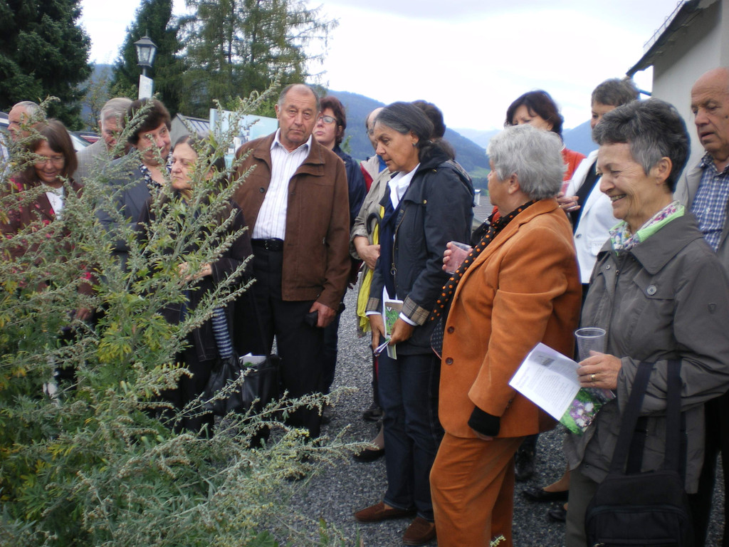 Mariengarten 005.jpg