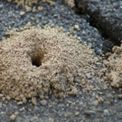 Sommerbrise 29.04.2010