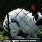 DSC06382.JPG