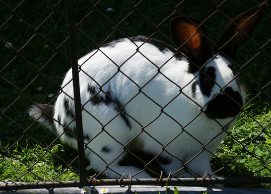 DSC06382.JPG