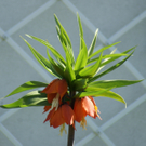 DSC06386.JPG