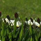 DSC06396.JPG