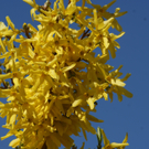 DSC06400.JPG