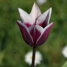 DSC06402.JPG