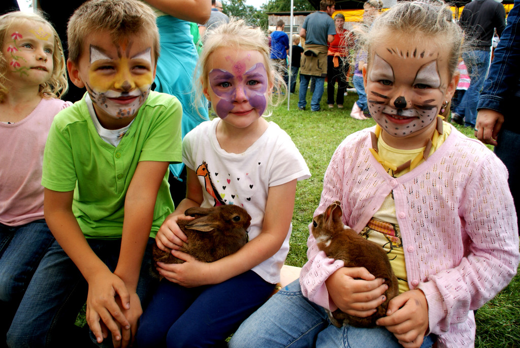 # Titelbild _30_.JPG