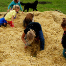 Schatzsuche im Heu.JPG