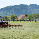 a Ried 29_04_2010 4.jpg