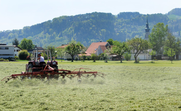 a Ried 29_04_2010 4.jpg