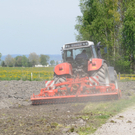 a Ried 29_04_2010 11.jpg