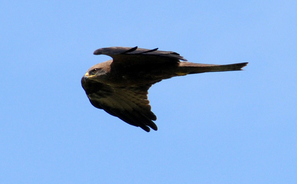 a Ried 29_04_2010 23.jpg