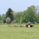 a Ried 29_04_2010 58.jpg