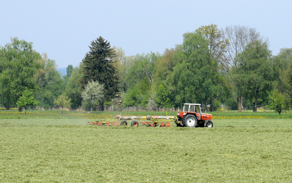 a Ried 29_04_2010 58.jpg