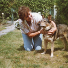 img358.jpg