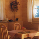 img441.jpg