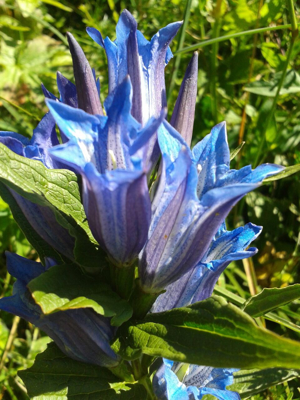 2014-08-19 16_48_14.jpg