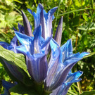 2014-08-19 16_48_14.jpg