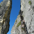 2014-08-19 16_49_42.jpg