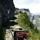 2014-08-19 16_54_57.jpg