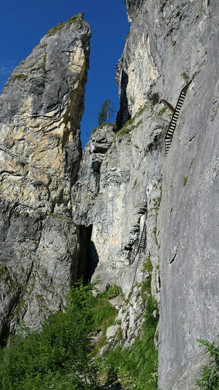 2014-08-19 16_55_29.jpg