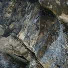 2014-08-19 17_00_13.jpg