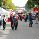 IMG_9409.JPG