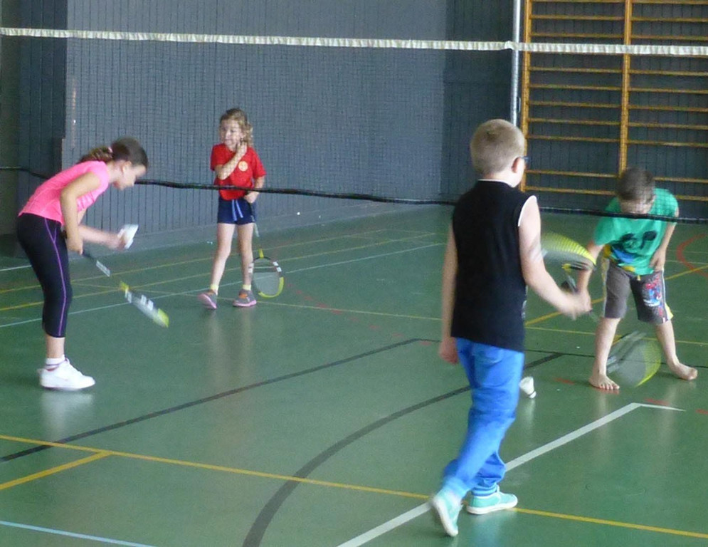 Badminton2.jpg