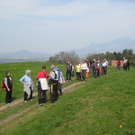 IMG_6349_JPG-1272555366