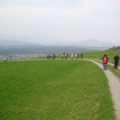 IMG_6350_JPG-1272555390