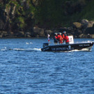 sea sheperd boot.jpg