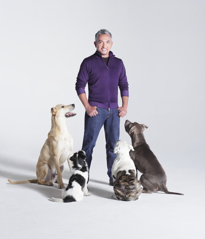 CM _c_ Gio Alma_8.jpg