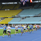 28.000 Teilnehmer beim Business Run 2014 in Wien