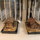 IMG_9479.JPG