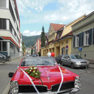 Hochzeit von Daniela Milosevic und Marko Brankovic - mit dem Oldtimer gings auf den Gebhardsberg.