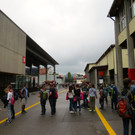 IMG_6425.JPG