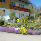 Frühlingsbilder