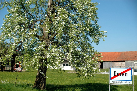 DSC_0069_jpg-1272577182