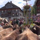 DSC02214.JPG