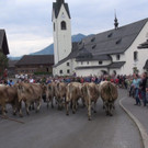 DSC04483.JPG