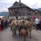 DSC04718.JPG