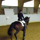 Dressurreiten