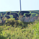 IMG_6819.JPG