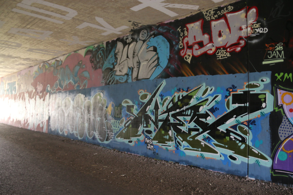 IMG_6833.JPG