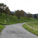 IMG_4048.jpg