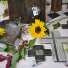 DSC_1076.JPG