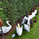 DSC_1072.JPG