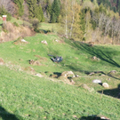 Tödlicher Verkehrsunfall in Weesen